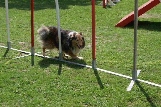 agility 2011-07-24